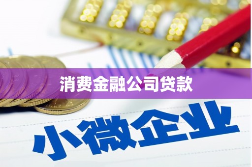 柘荣消费金融公司贷款