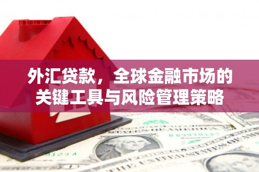 柘荣外汇贷款，全球金融市场的关键工具与风险管理策略