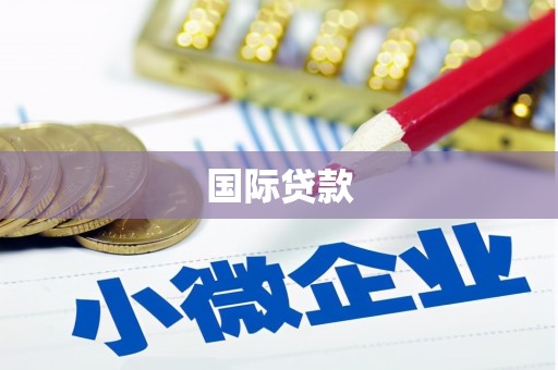 柘荣国际贷款