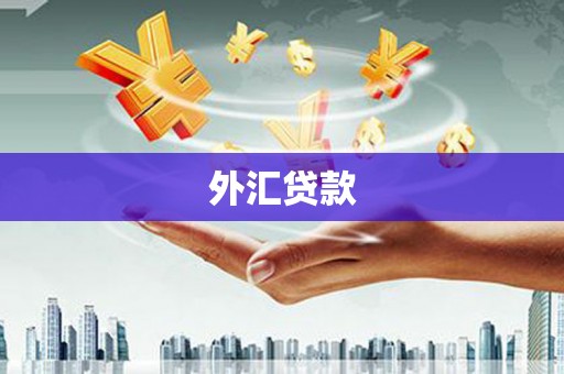 柘荣外汇贷款