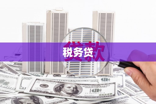 柘荣税务贷