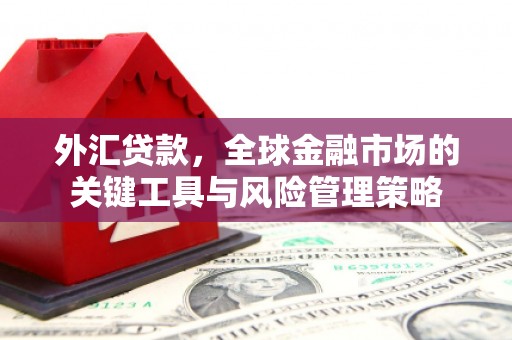 柘荣外汇贷款，全球金融市场的关键工具与风险管理策略
