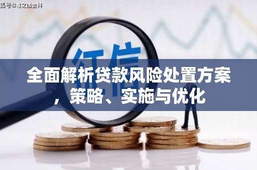 柘荣全面解析贷款风险处置方案，策略、实施与优化