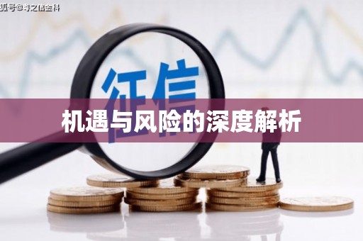柘荣机遇与风险的深度解析