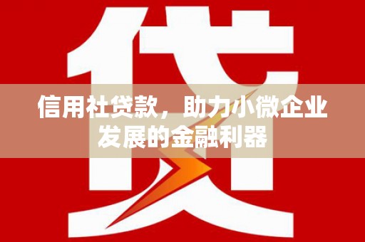 柘荣信用社贷款，助力小微企业发展的金融利器