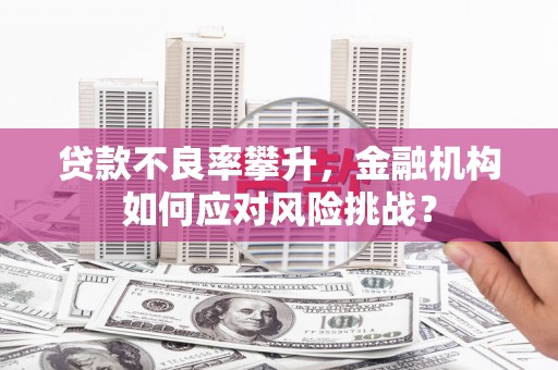 柘荣贷款不良率攀升，金融机构如何应对风险挑战？