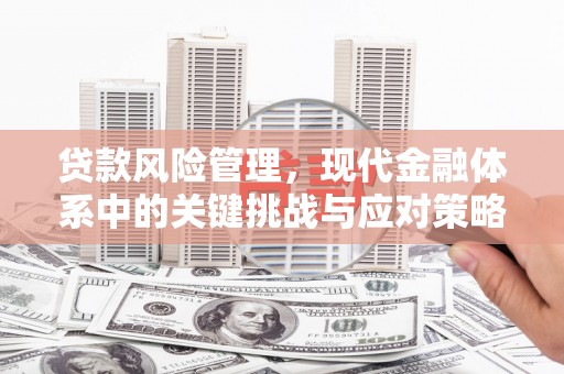 柘荣贷款风险管理，现代金融体系中的关键挑战与应对策略