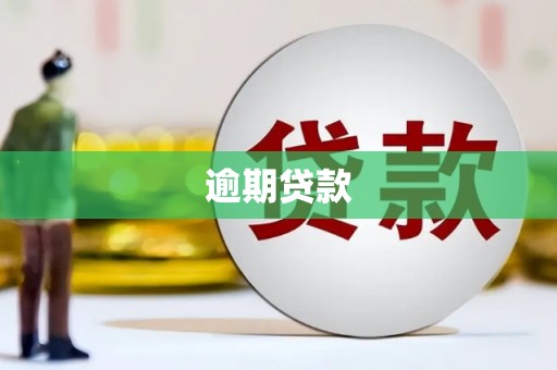 柘荣逾期贷款